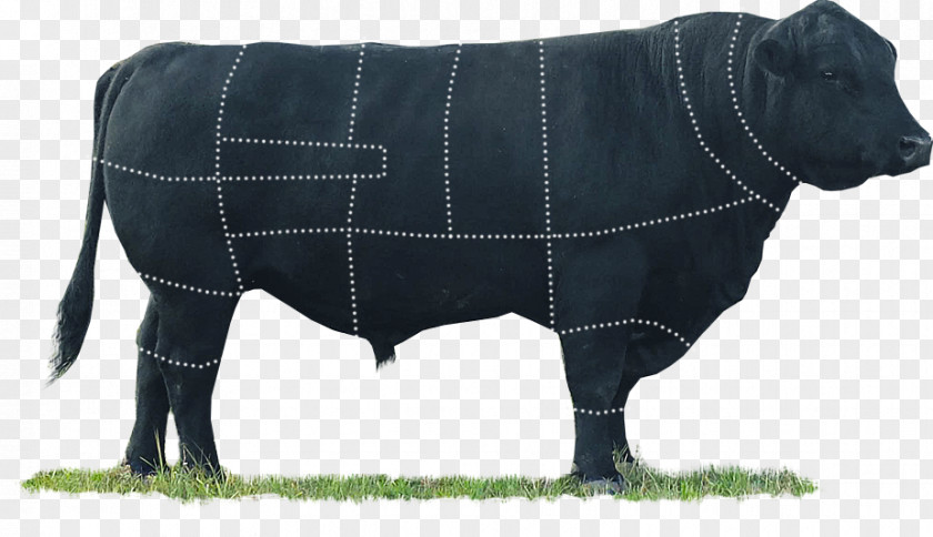 Meat Angus Cattle Marbled Bull Steak PNG