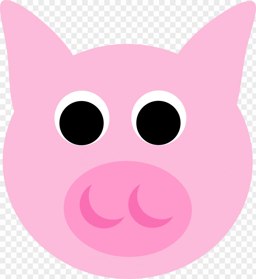 Pig Cat Domestic Whiskers Mammal Snout PNG