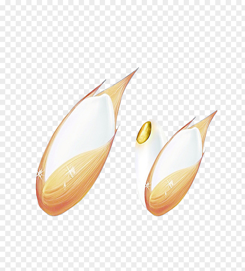 Rice Cooked Cereal Cartoon PNG