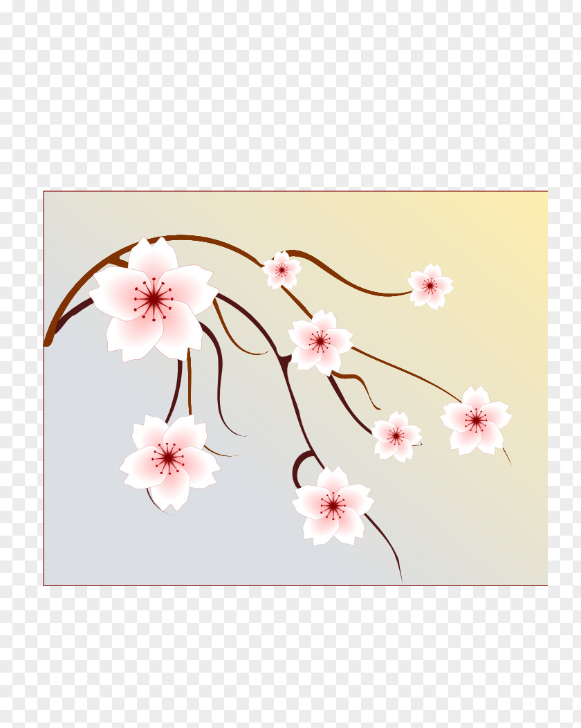 Vector Cherry Blossom Branches Flower Floral Design Petal PNG