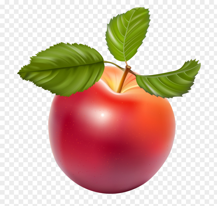 A Red Apple Download Clip Art PNG