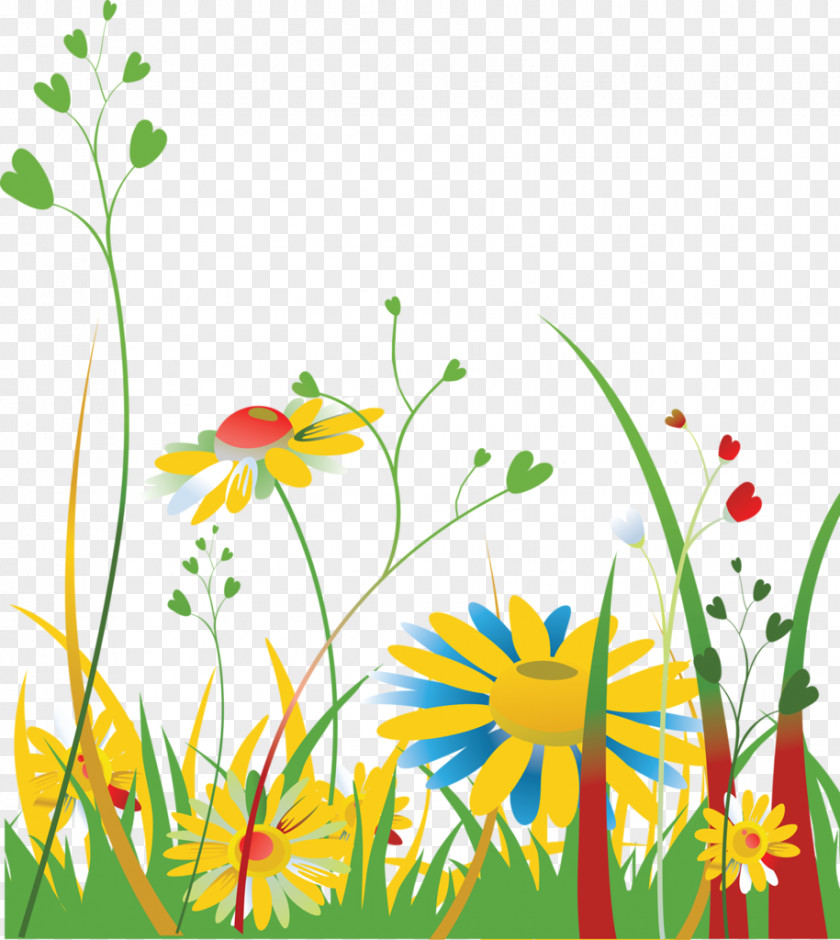 Design Floral Meadow PNG
