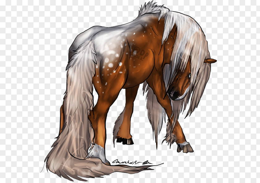 Mustang Mane Foal Stallion Colt PNG