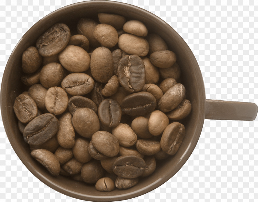 Quality Coffee Beans Bean Clip Art PNG