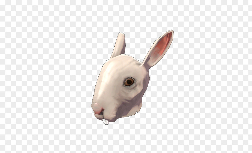 Rabbit Domestic Team Fortress 2 Hare Snout PNG