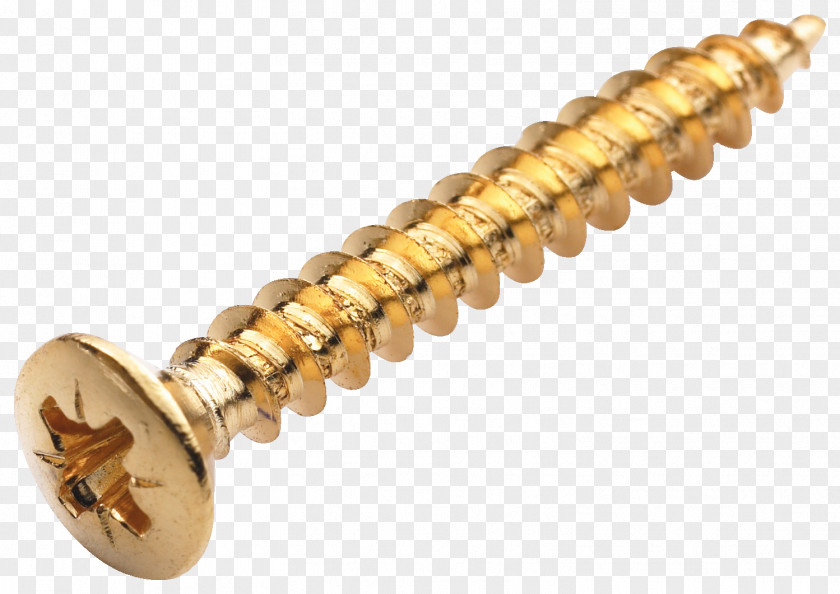 Warwick Bass Bridge Screw Nut Guitar Brass Tune-o-matic PNG