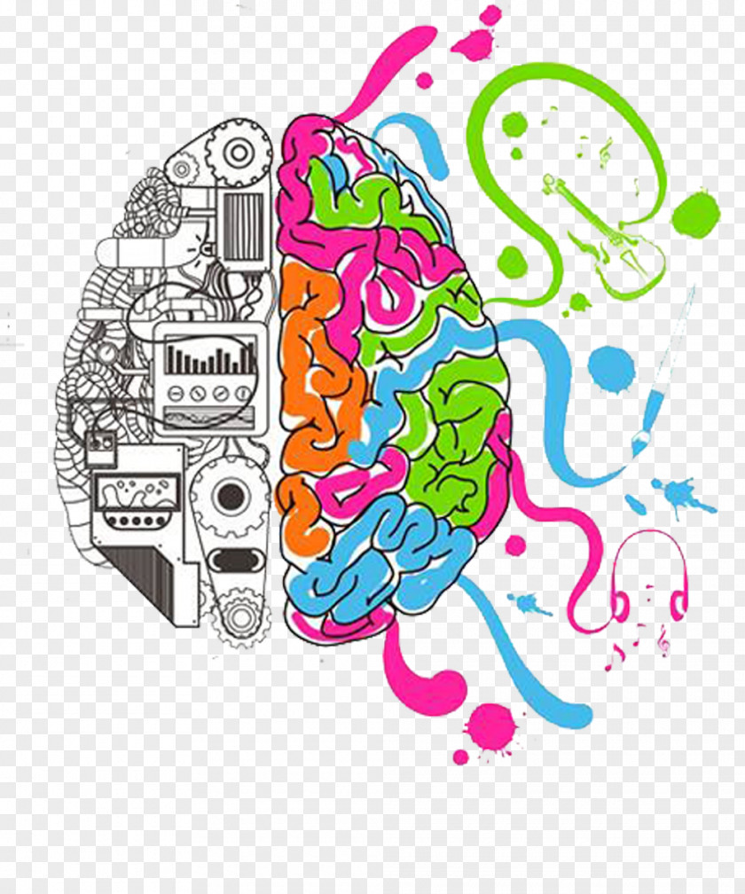 Brain Agy Cerebral Hemisphere Color PNG