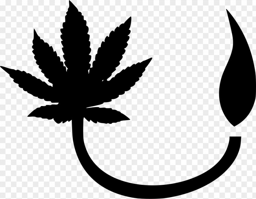 Cannabis Marijuana Sativa Medical Ruderalis PNG