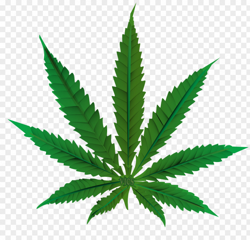Cannabis Sativa Leaf Medical Hemp PNG