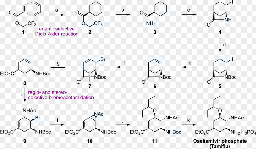 Synthesis Oseltamivir Total Document PNG