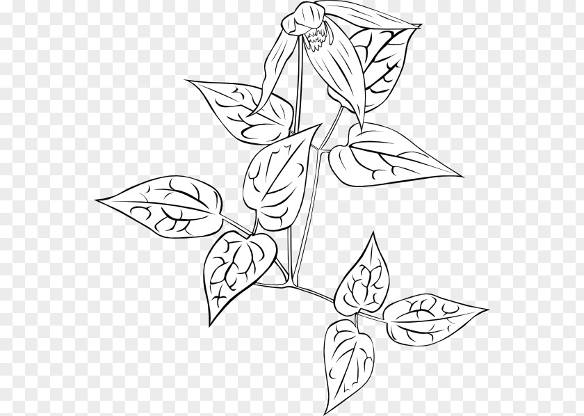 Wild Flowers Drawing Plant Clip Art PNG