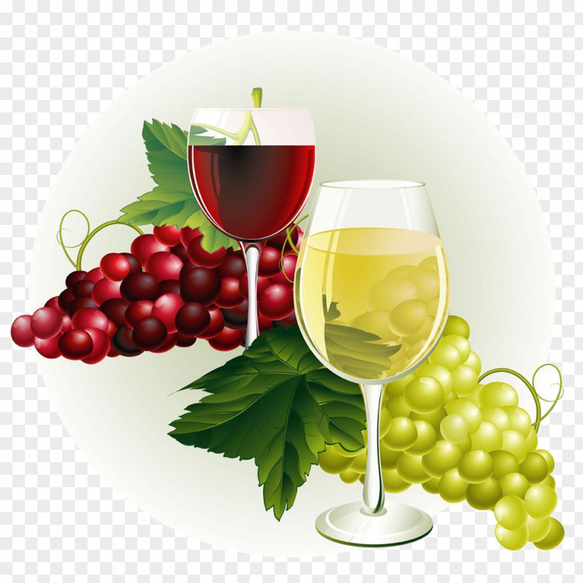 Wine Grapes Common Grape Vine Clip Art PNG