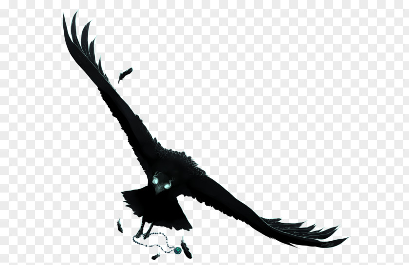 Anime Drawing Crows PNG , raven clipart PNG