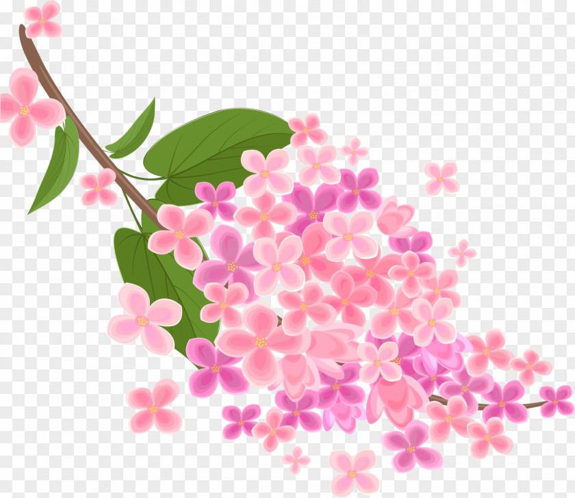 Cherry Blossoms Pink Flowers Stock Photography Royalty-free PNG