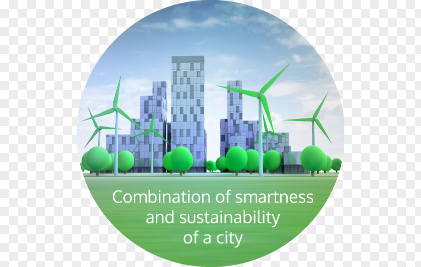 Sustainable City Singapore: A Smart Sustainability PNG