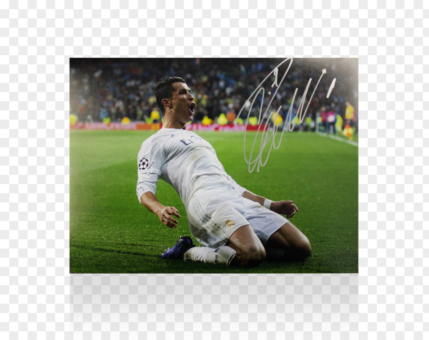 Tiger Woods Real Madrid C.F. UEFA Champions League Manchester United F.C. Hat-trick Athlete PNG