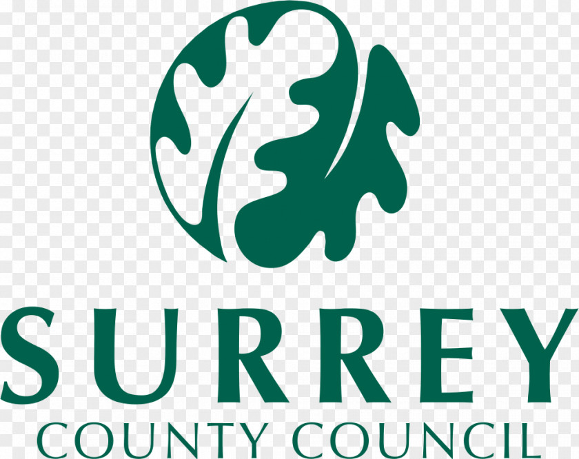 Banstead Surrey County Council East Sussex Career PNG