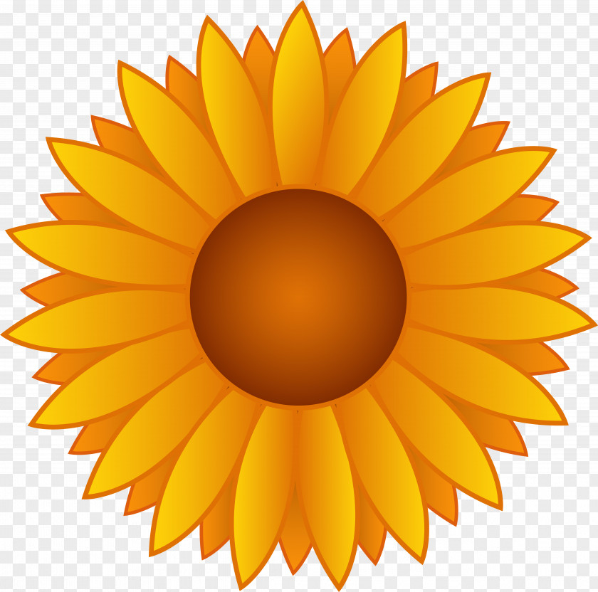 Cartoon Sunflower Pictures Common Free Content Clip Art PNG