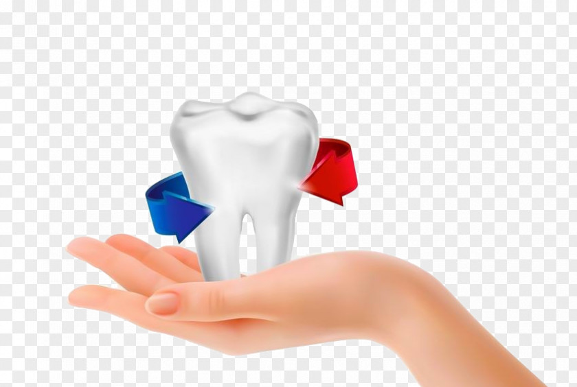 Hands Teeth TRu0130ADENT Au011eIZ VE Du0130u015e SAu011eLIu011eI POLu0130KLu0130Nu0130u011eu0130 Dentist Human Tooth Therapy PNG
