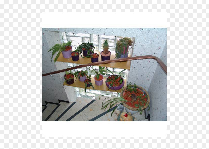 Design Flowerpot Furniture Houseplant Bedroom PNG