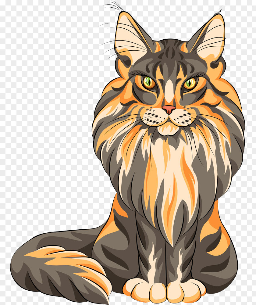 Piercing Cat Maine Coon Persian Bombay Raccoon PNG
