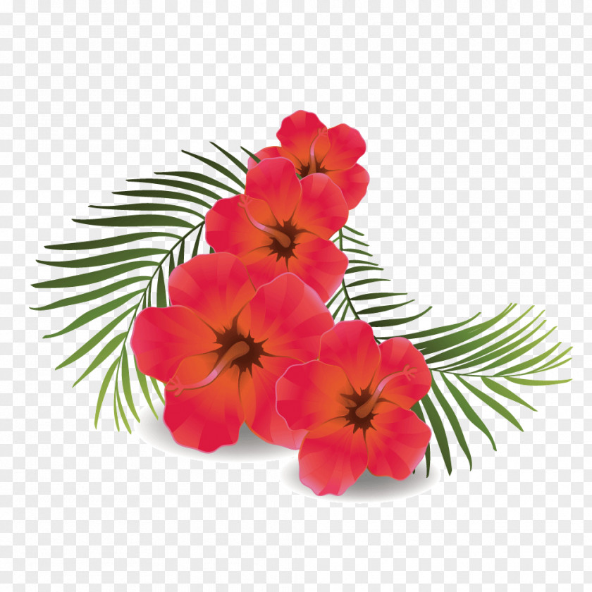 Vector Green Leaves Hibiscus Shoeblackplant Euclidean Icon PNG