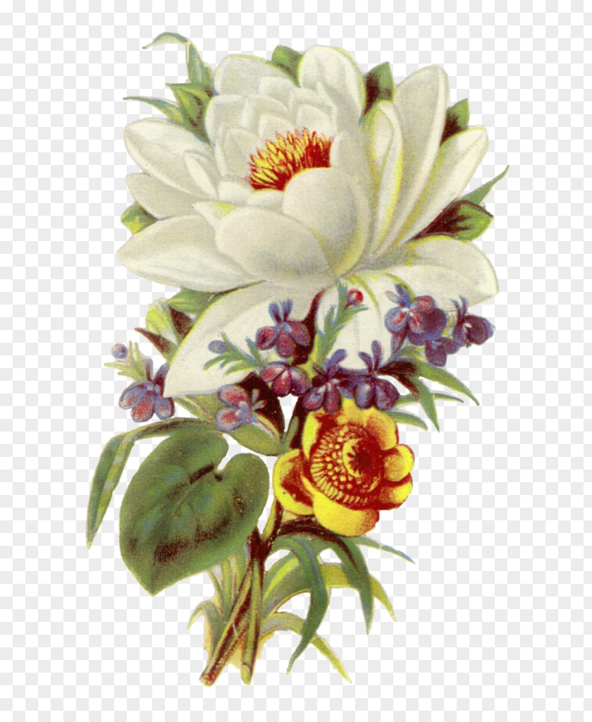 Vintage White Flowers Flower Bouquet Clothing Floral Design Clip Art PNG