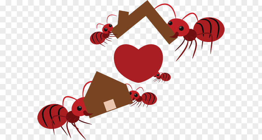 Ants Move Houses Ant Teamwork Euclidean Vector Illustration PNG