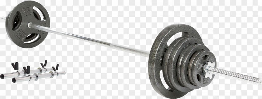 Barbell Fitness Centre Physical Exercise Equipment Olympic Weightlifting PNG