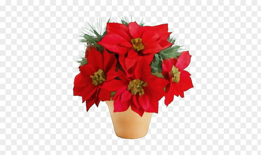 Flower Red Poinsettia Plant Cut Flowers PNG