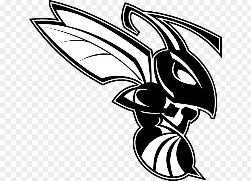 Hornet Honda Logo Bee Clip Art PNG