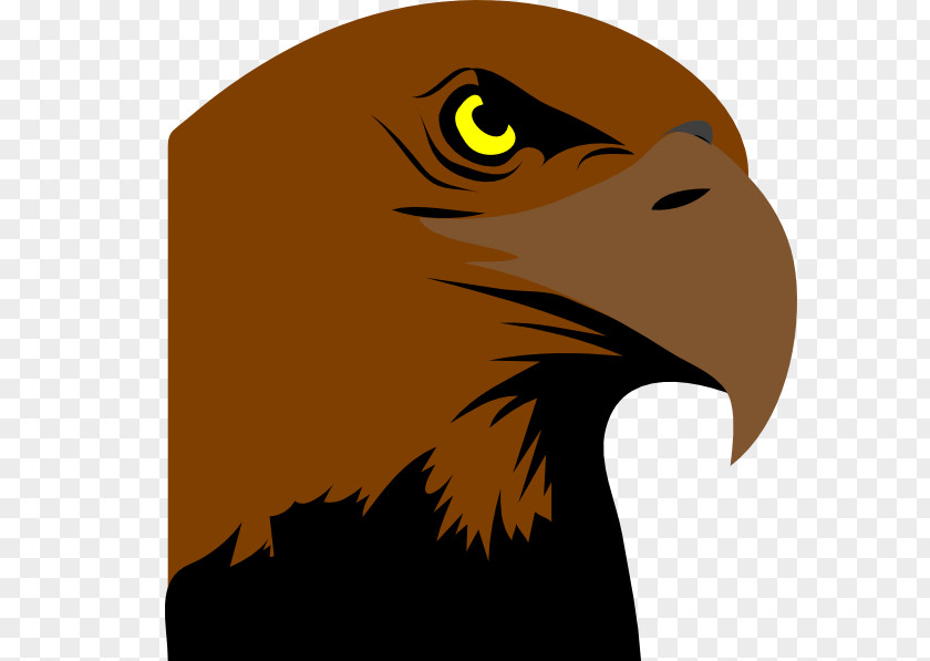 Logo Kepala Rajawali Philadelphia Eagles Bird Clip Art PNG