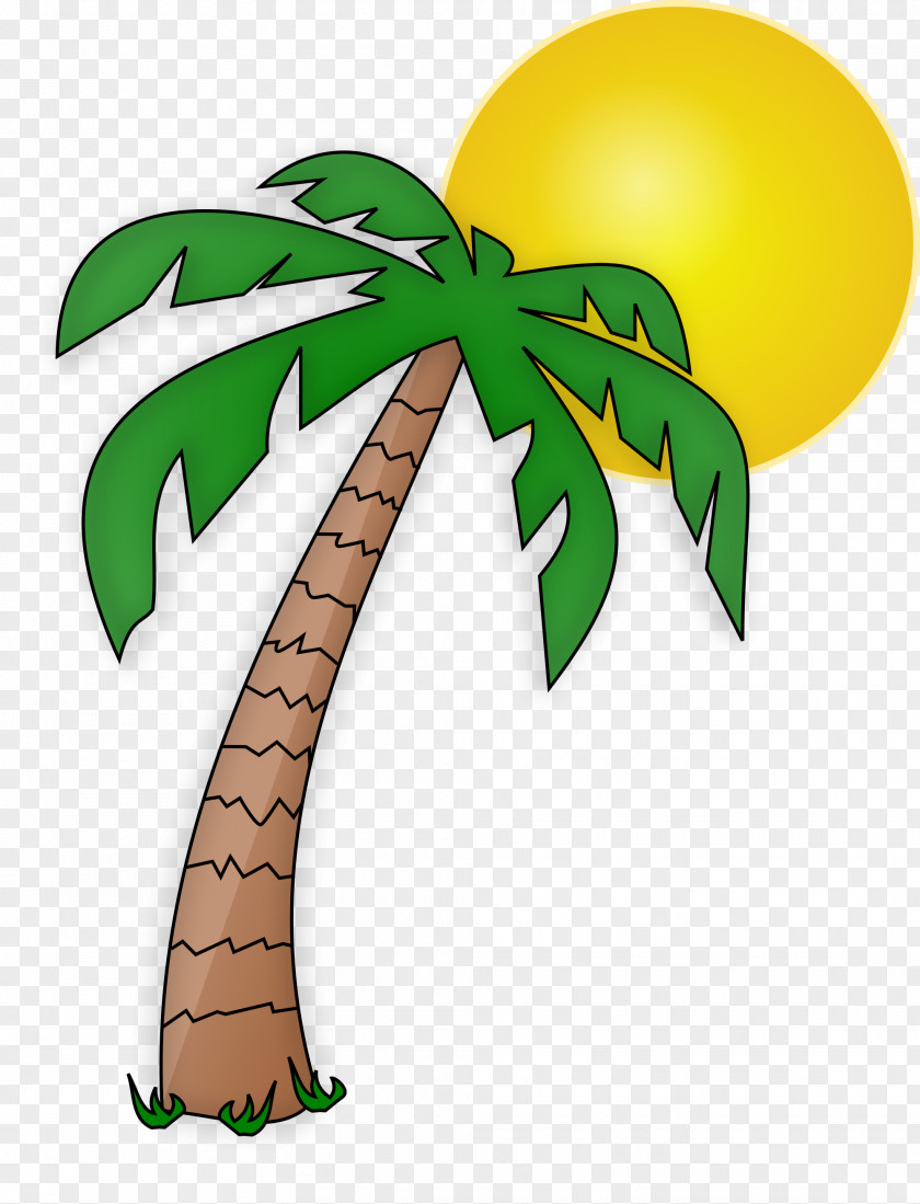 Palm Tree Arecaceae Drawing Cartoon Clip Art PNG