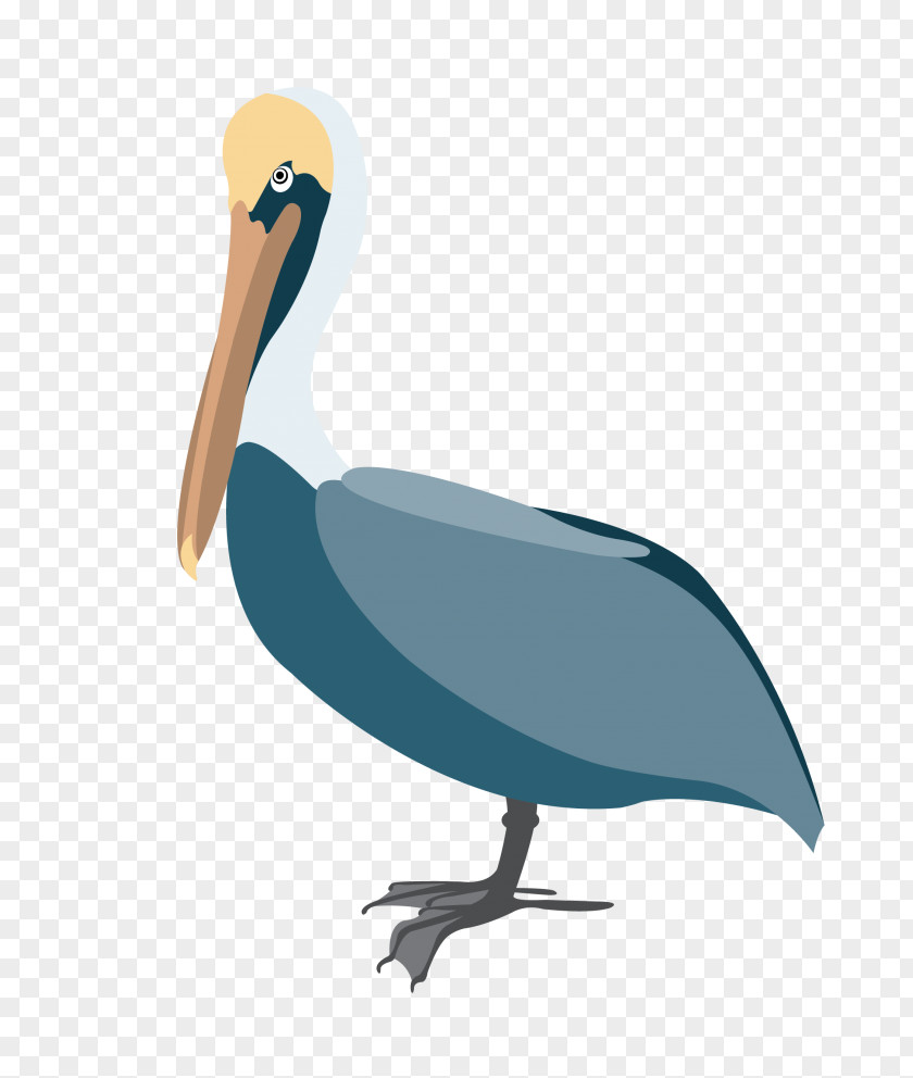 Black Pelican Kitty Hawk Bathroom Clip Art Vector Graphics Image PNG