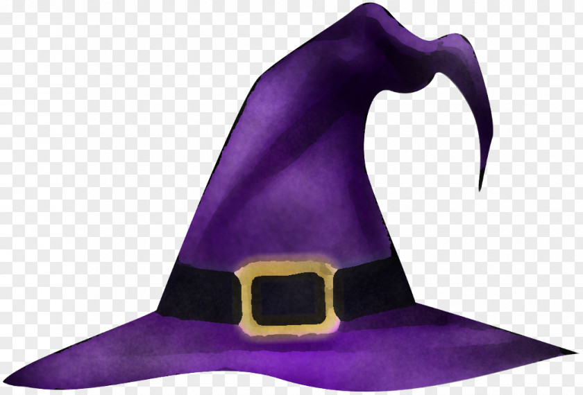 Costume Cap Witch Hat Purple Clothing Violet PNG