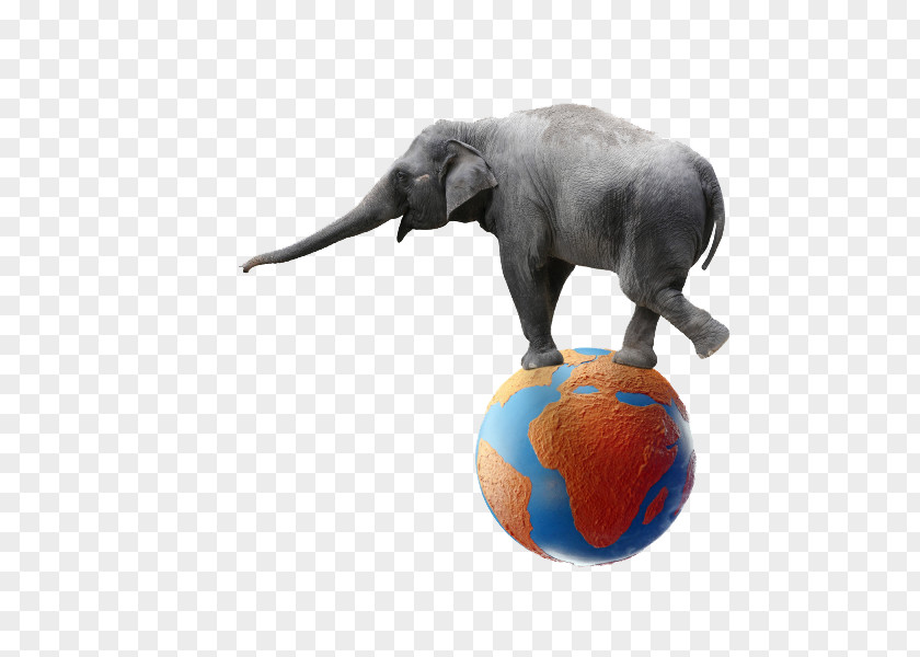Creative Elephant Foot Earth Performance Circus PNG