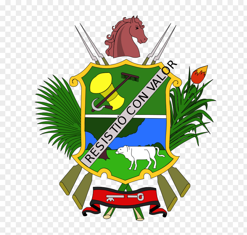 Flag Monagas Apure State Of Venezuela Barinas Capital District PNG