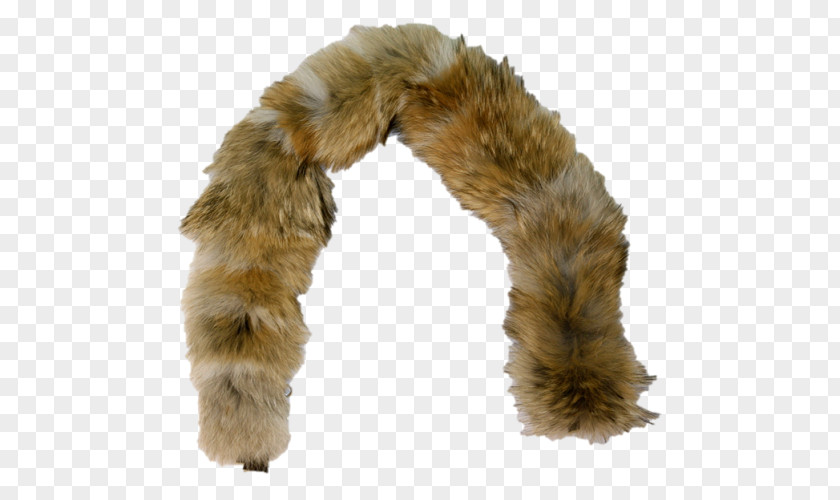 Fur Coyote Clothing Muskrat Ruff PNG