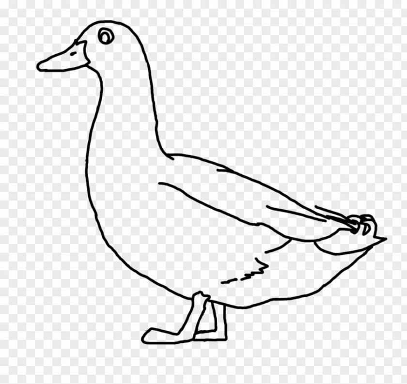 Line Drawing Donald Duck Art Clip PNG