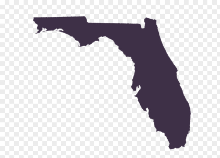 Map Florida Vector Clip Art PNG