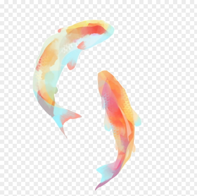 Accesories Watercolor Koi Goldfish Painting Image PNG