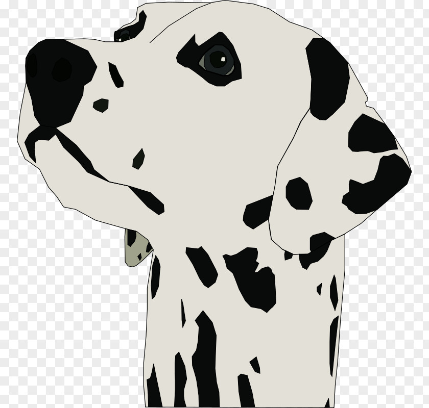 Dalmation Clipart Dalmatian Dog Beagle Rough Collie Puppy Clip Art PNG