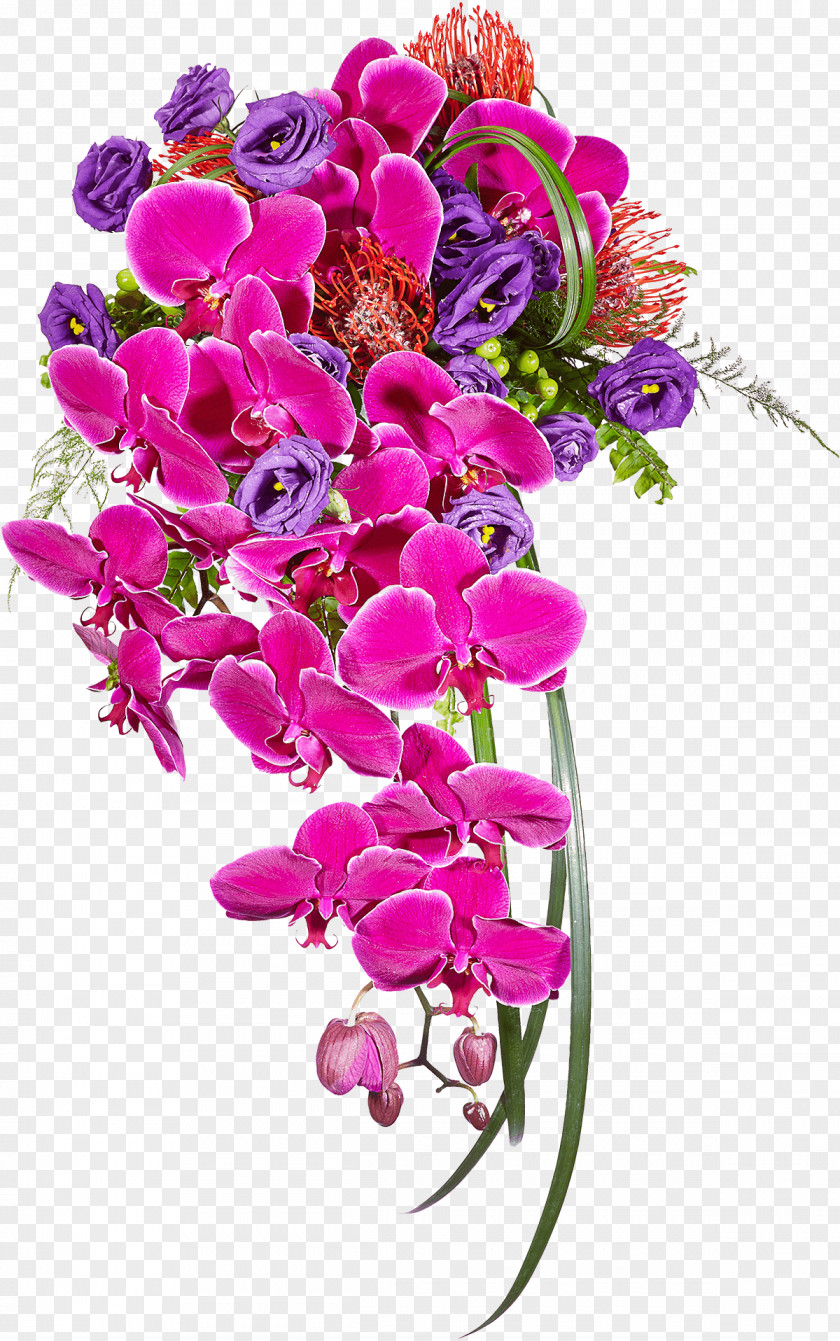 European-style Flower Frame Floral Design Cut Flowers Moth Orchids Dendrobium PNG