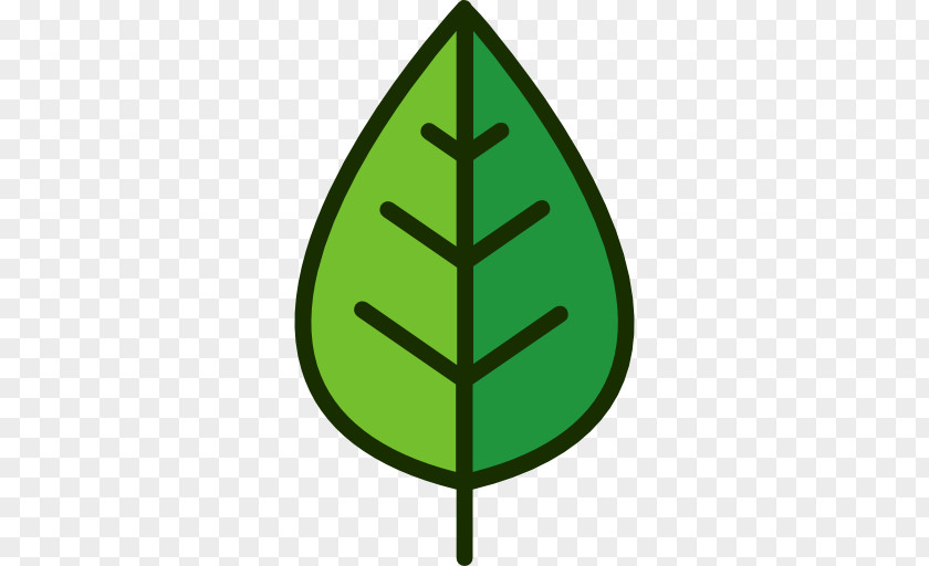 Leaf Green Graphics Plant Stem Symbol PNG
