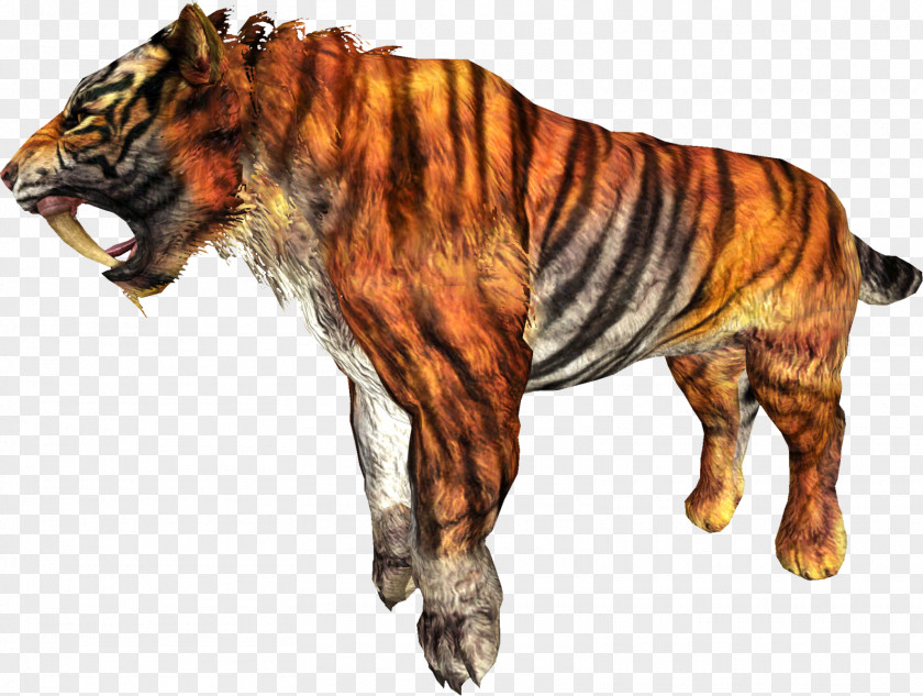 Tiger Roar Big Cat Cougar PNG