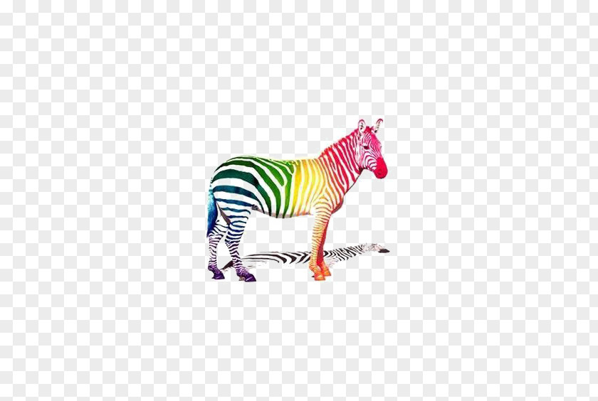 Zebra School Of Visual Arts Clip Art PNG