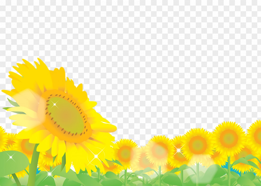 Common Sunflower Seed Yellow Sunlight Computer PNG