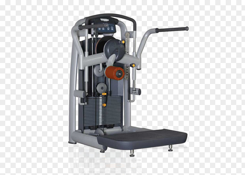 Exercise Machine Fitness Centre Smith Equipment Physical Crunch PNG
