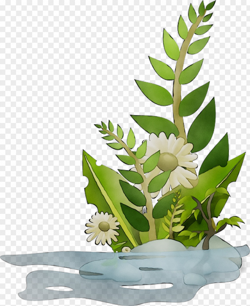 Floral Design Logo Flowerpot Aquarium PNG