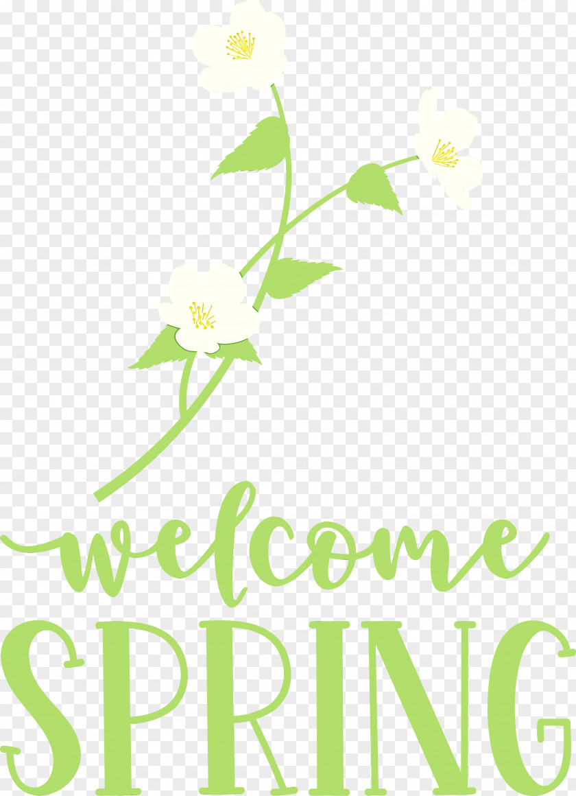 Floral Design PNG